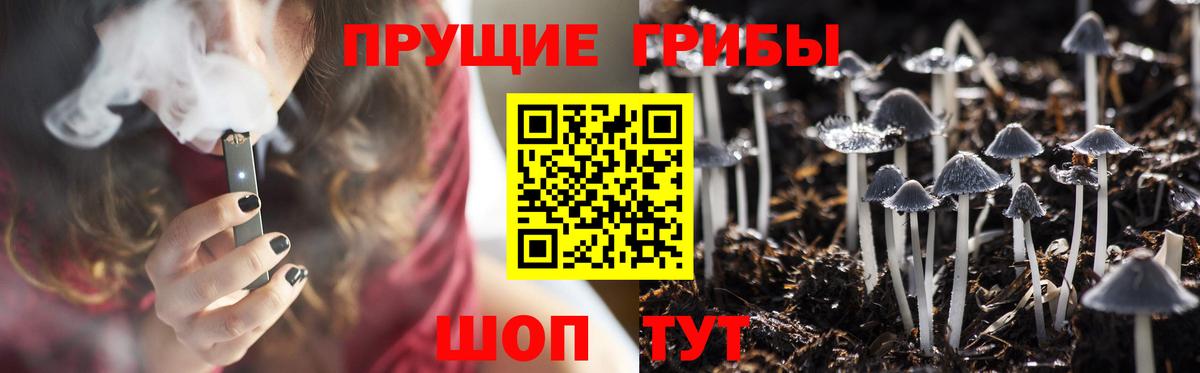 Галлюциногенные грибы мицелий  Вход с VPN  Галлюциногенные грибы Psilocybe  Лабинск 